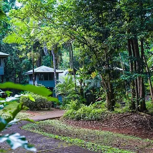  Lodge Ferntree Rainforest Australië